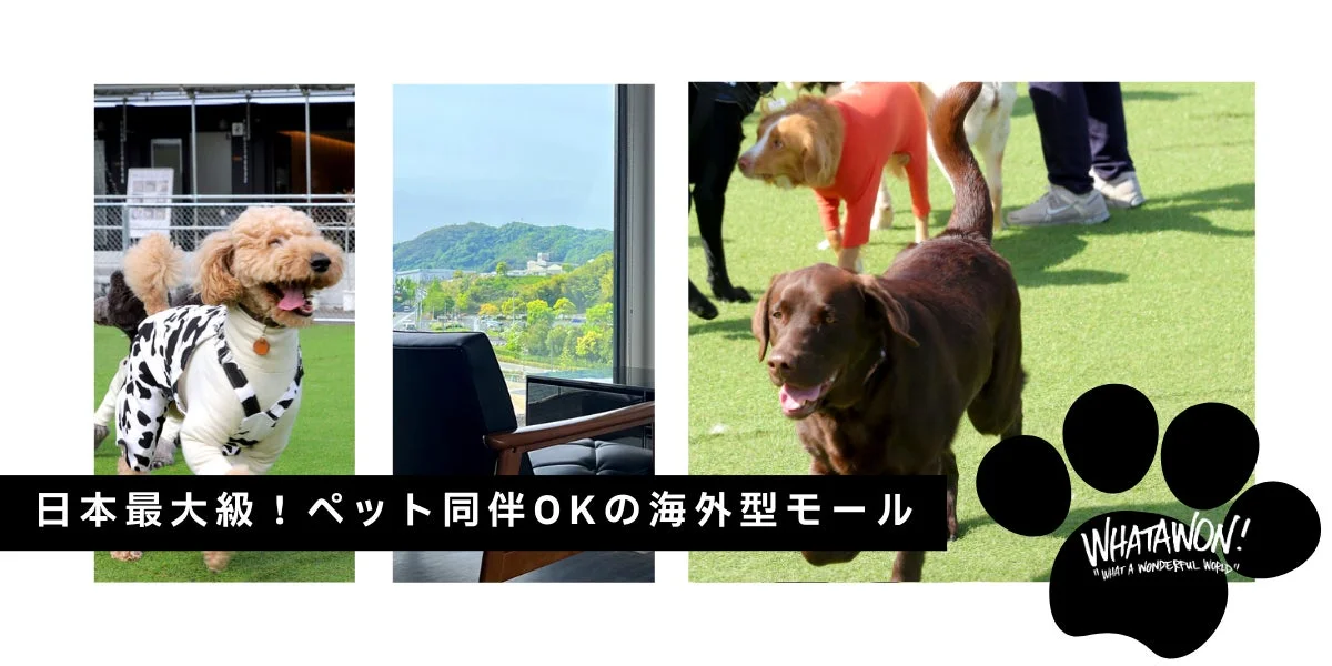ペット同伴OKの日本最大級海外型モールを紹介する画像。緑の人工芝で遊ぶ犬たちや、施設内から見える景色が特徴。