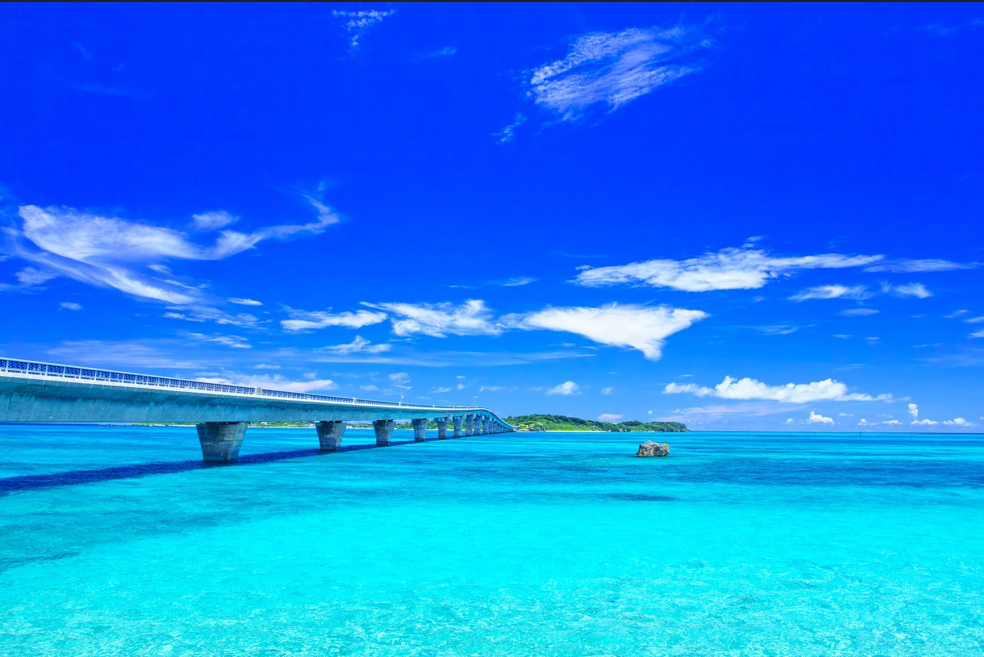 橋と海