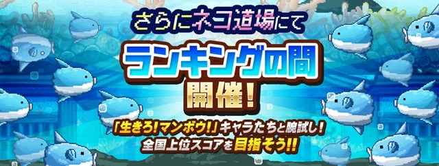 ネコ道場「ランキングの間」に限定イベント登場